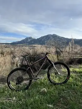 Hardtail photo 9
