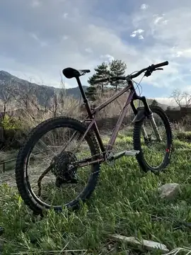 Hardtail photo 10